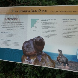 neuseeland_rundreise_98