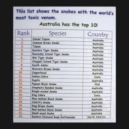 giftschlangenreihung