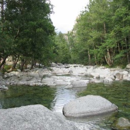 korsikarestonicatal2