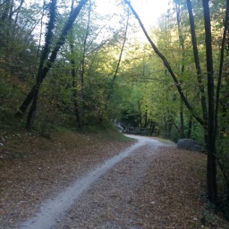 radreise_gardasee_herbst_42