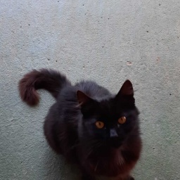 kalabrien_rundreise_2022_10