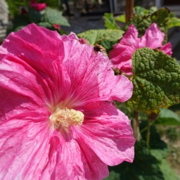 kalabrien_rundreise_2022w_5