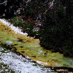 almbluetewanderung_2013_11