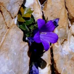 steinwanderung_2014_29