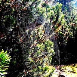 steinwanderung_2014_5