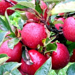 toerggelewanderung_2014_12