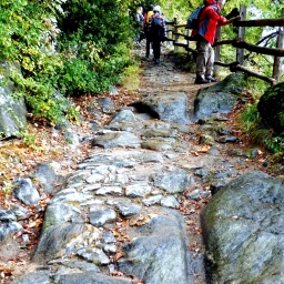 toerggelewanderung_2014_17