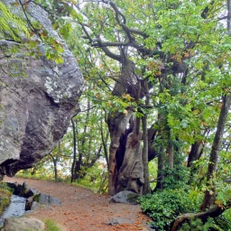 toerggelewanderung_2014_7