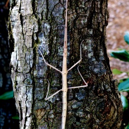 wanderwoche_cres_2015_21