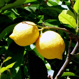 wanderwoche_cres_2015_38