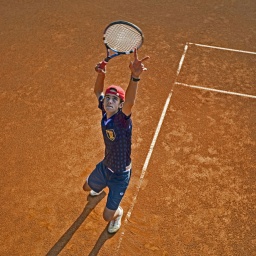 tenis