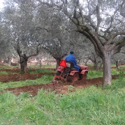 umag_radfahren_2016_53