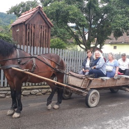 rumaenien_rundreise_2019_11