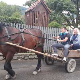 rumaenien_rundreise_2019_12