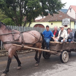 rumaenien_rundreise_2019_14