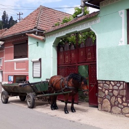 rumaenien_rundreise_2019_6