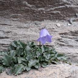 schweiz_reise_2019_31