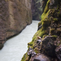 schweizer_hochalpen_2021_39