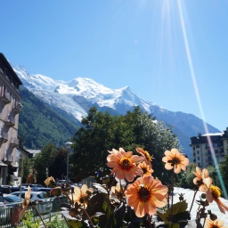 schweizer_hochalpen_2021_94