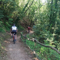 parenzana_radweg_2017_26