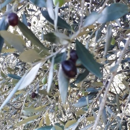 wanderreise_slowenien2019_12