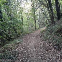 wanderreise_slowenien2019_31