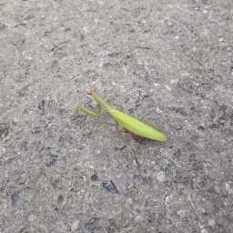 wanderreise_slowenien2019_32