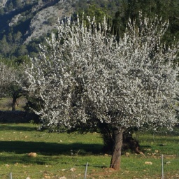 balearen_rundreise_2016_45