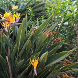 rundreise_kanaren_2016_15