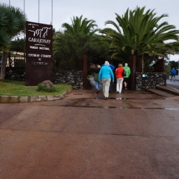 rundreise_kanaren_2016_50