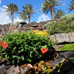 rundreise_kanaren_2016_72