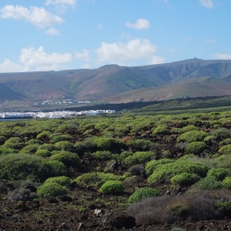 rundreise_kanaren_2016_75