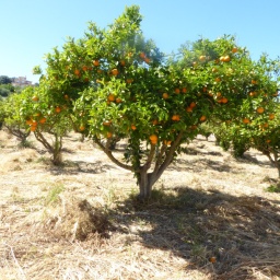 mallorca_radreise_2018_115