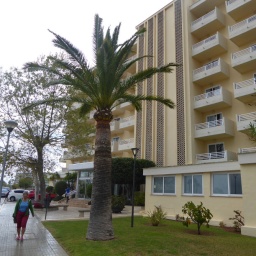 mallorca_radreise_2018_21