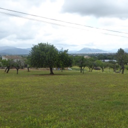 mallorca_radreise_2018_94