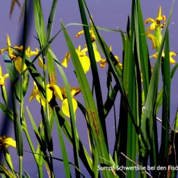 ungarn_wanderreise_17