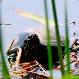 ungarn_wanderreise_18