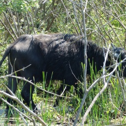 ungarn_wanderreise_21