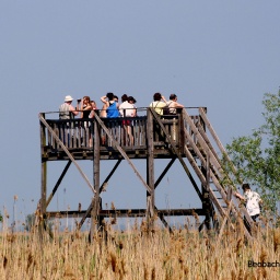 ungarn_wanderreise_22