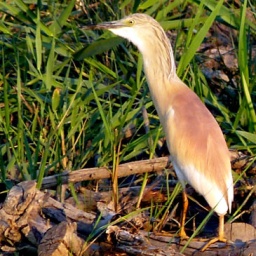 ungarn_wanderreise_24