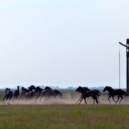 wanderreise_hortobagy_10