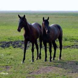 wanderreise_hortobagy_11