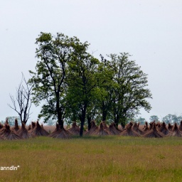 wanderreise_hortobagy_16