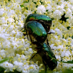 wanderreise_hortobagy_19