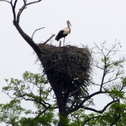 wanderreise_hortobagy_21