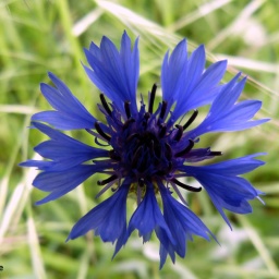 wanderreise_hortobagy_3