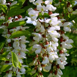 wanderreise_hortobagy_5