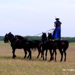 wanderreise_hortobagy_50