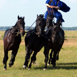 wanderreise_hortobagy_52