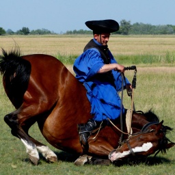 wanderreise_hortobagy_55